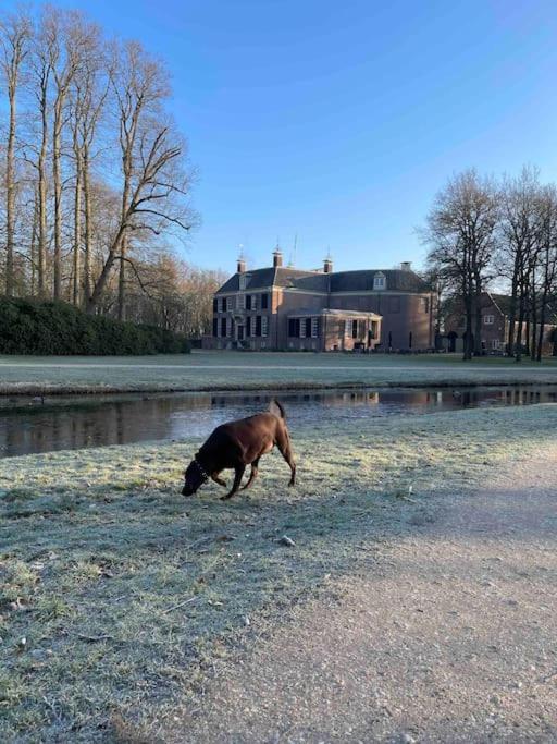 Magical Cottage In The Woods Baarn Luaran gambar