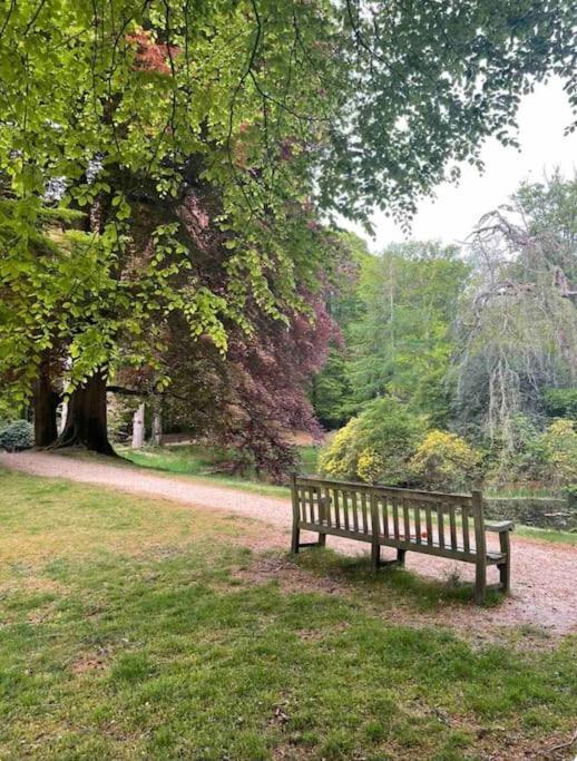 Magical Cottage In The Woods Baarn Luaran gambar